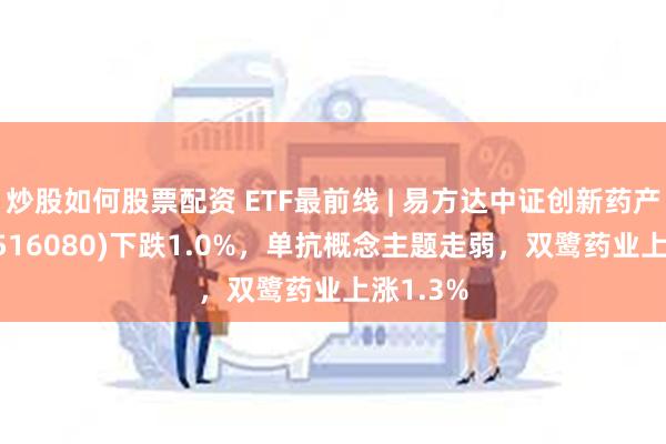 炒股如何股票配资 ETF最前线 | 易方达中证创新药产业ETF(516080)下跌1.0%，单抗概念主题走弱，双鹭药业上涨1.3%