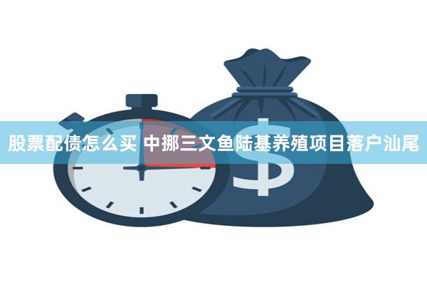 股票配债怎么买 中挪三文鱼陆基养殖项目落户汕尾