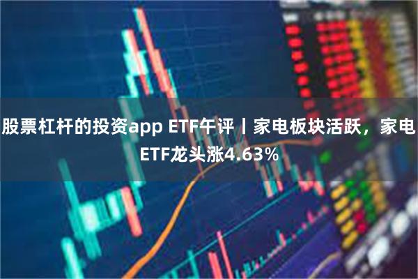 股票杠杆的投资app ETF午评丨家电板块活跃，家电ETF龙头涨4.63%