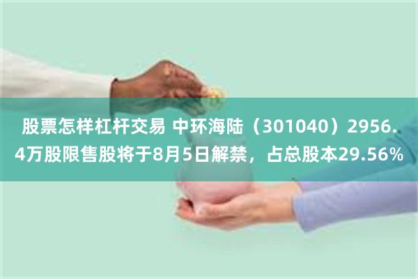 股票怎样杠杆交易 中环海陆（301040）2956.4万股限售股将于8月5日解禁，占总股本29.56%