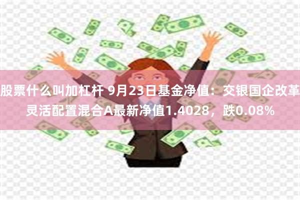 股票什么叫加杠杆 9月23日基金净值：交银国企改革灵活配置混合A最新净值1.4028，跌0.08%