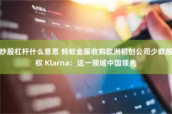 炒股杠杆什么意思 蚂蚁金服收购欧洲初创公司少数股权 Klarna：这一领域中国领先