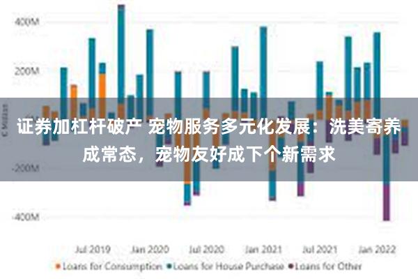 证券加杠杆破产 宠物服务多元化发展：洗美寄养成常态，宠物友好成下个新需求