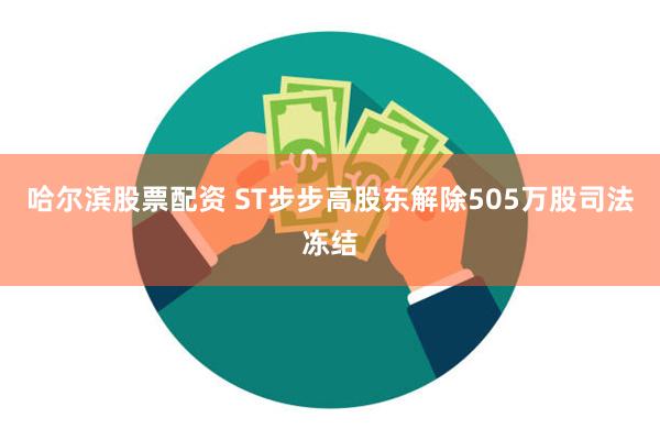 哈尔滨股票配资 ST步步高股东解除505万股司法冻结